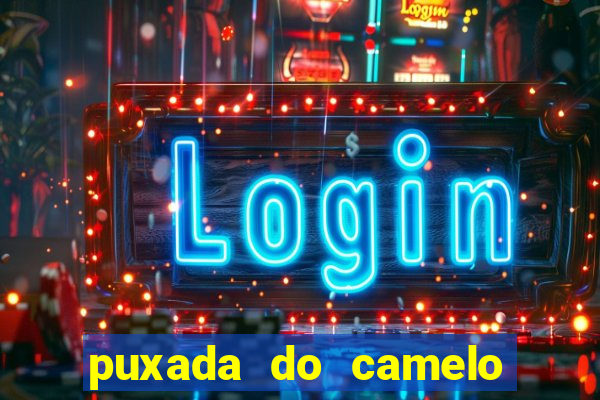 puxada do camelo jogo do bicho